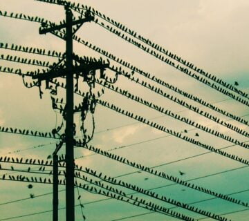 کابل برق چه زمانی به ایران آمد؟ تاریخچه کابل برق