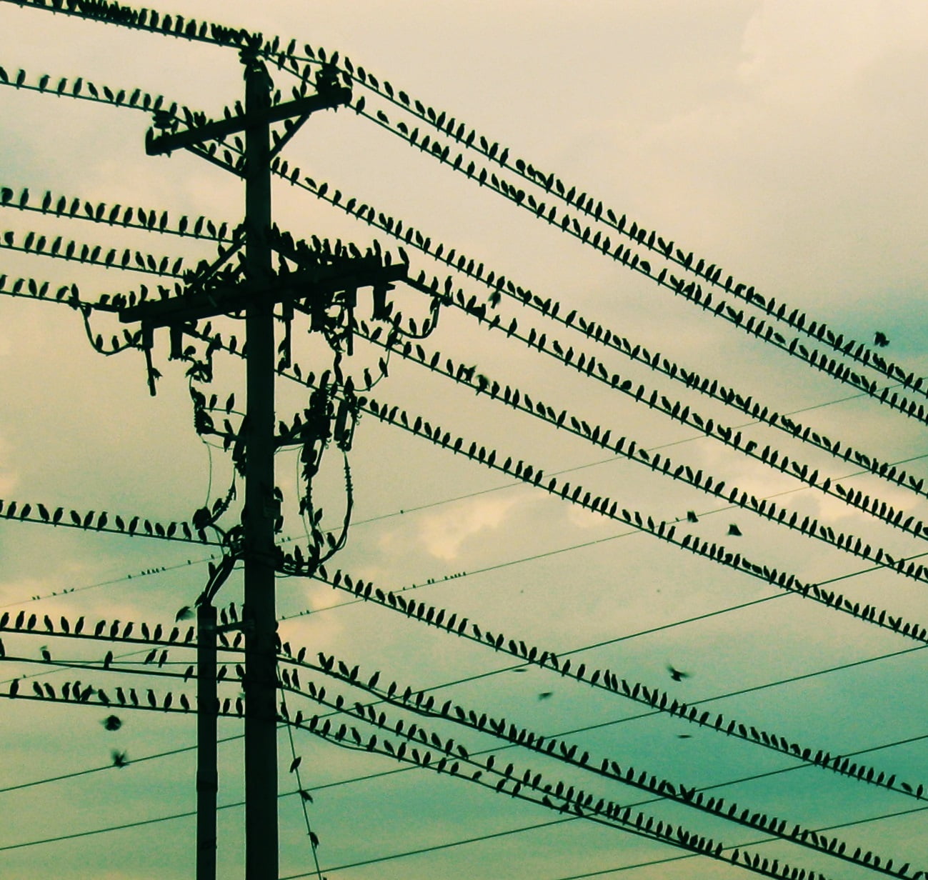 کابل برق چه زمانی به ایران آمد؟ تاریخچه کابل برق